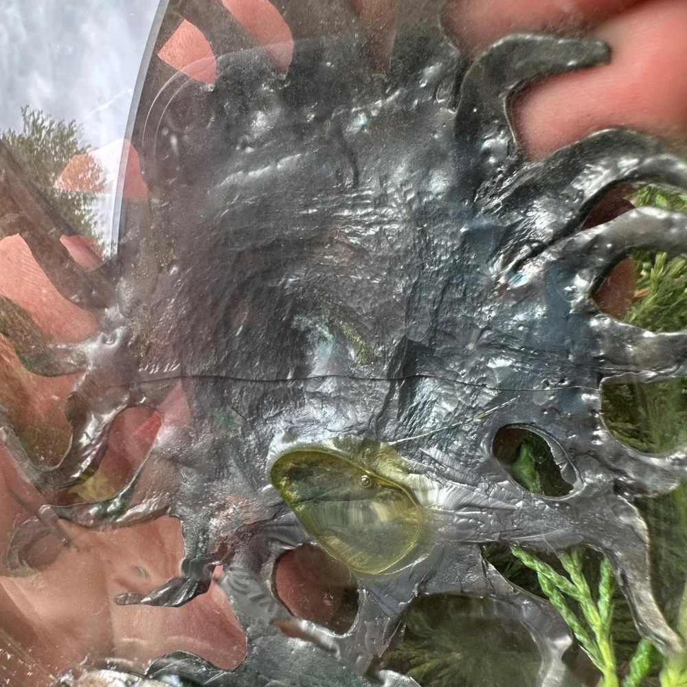 READ Celestial Sun Moon Pewter Glass Bud Vase Silver Tone Whimsigoth Decor